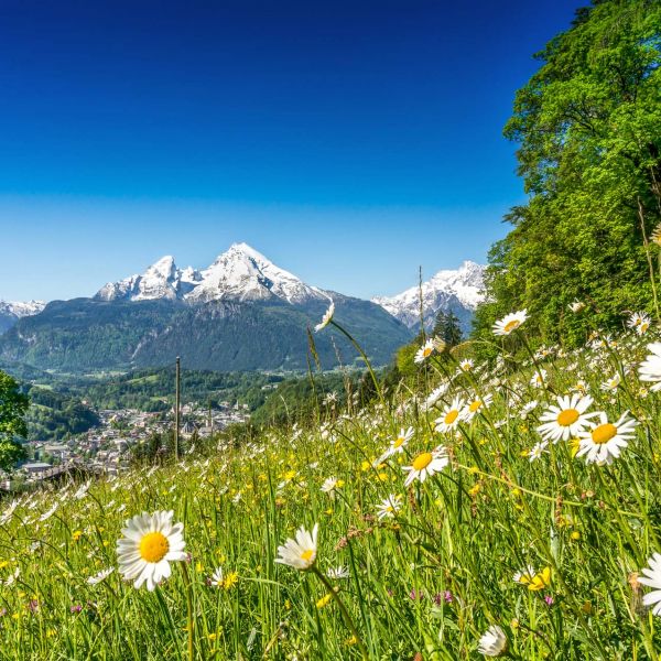 Titelmotiv – Natur pur mit Gott im Gepäck